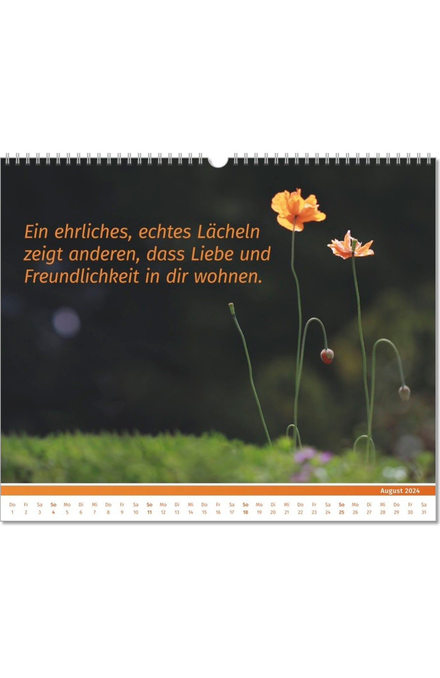 Lebensfreude Inspirationen Kalender 2024 großer Wandkalender PAL Verlag Doris Wolf Rolf Merkle Fotokalender Innenseite August