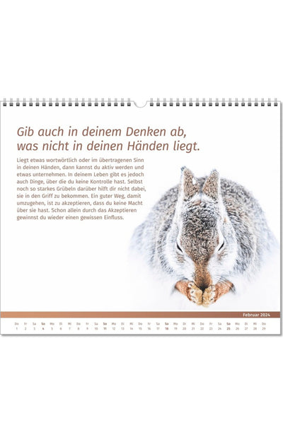 Lebensfreude Inspirationen Kalender 2024 großer Wandkalender PAL Verlag Doris Wolf Rolf Merkle Fotokalender Innenseite Februar