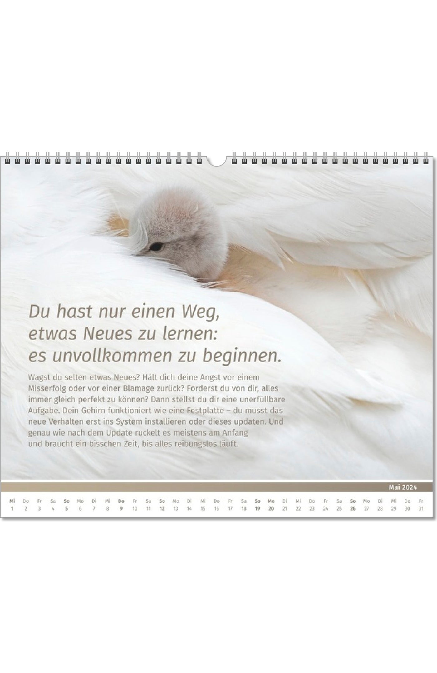 Lebensfreude Inspirationen Kalender 2024 großer Wandkalender PAL Verlag Doris Wolf Rolf Merkle Fotokalender Innenseite Mai