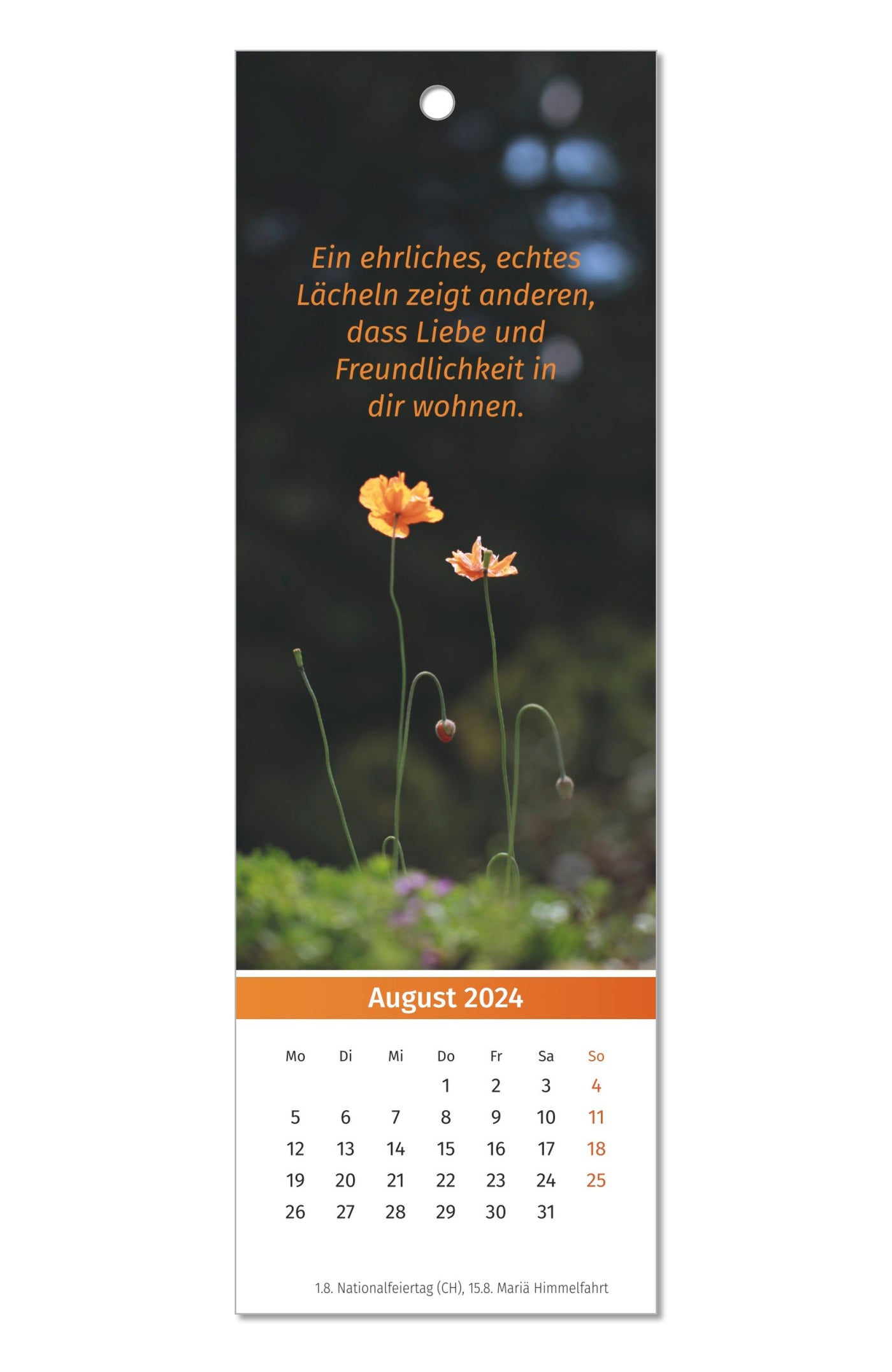 Der Lebensfreude Lesezeichen-Kalender 2024 PAL Verlag Doris Wolf Rolf Merkle Maja Guenther Inspiration Geschenk Lesen