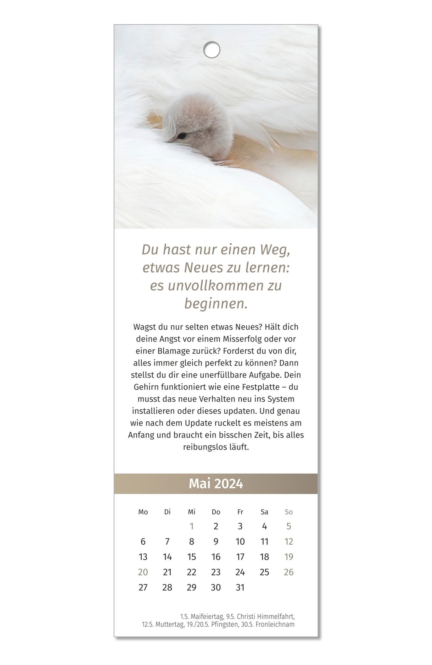 Der Lebensfreude Lesezeichen-Kalender 2024 PAL Verlag Doris Wolf Rolf Merkle Maja Guenther Inspiration Geschenk Lesen