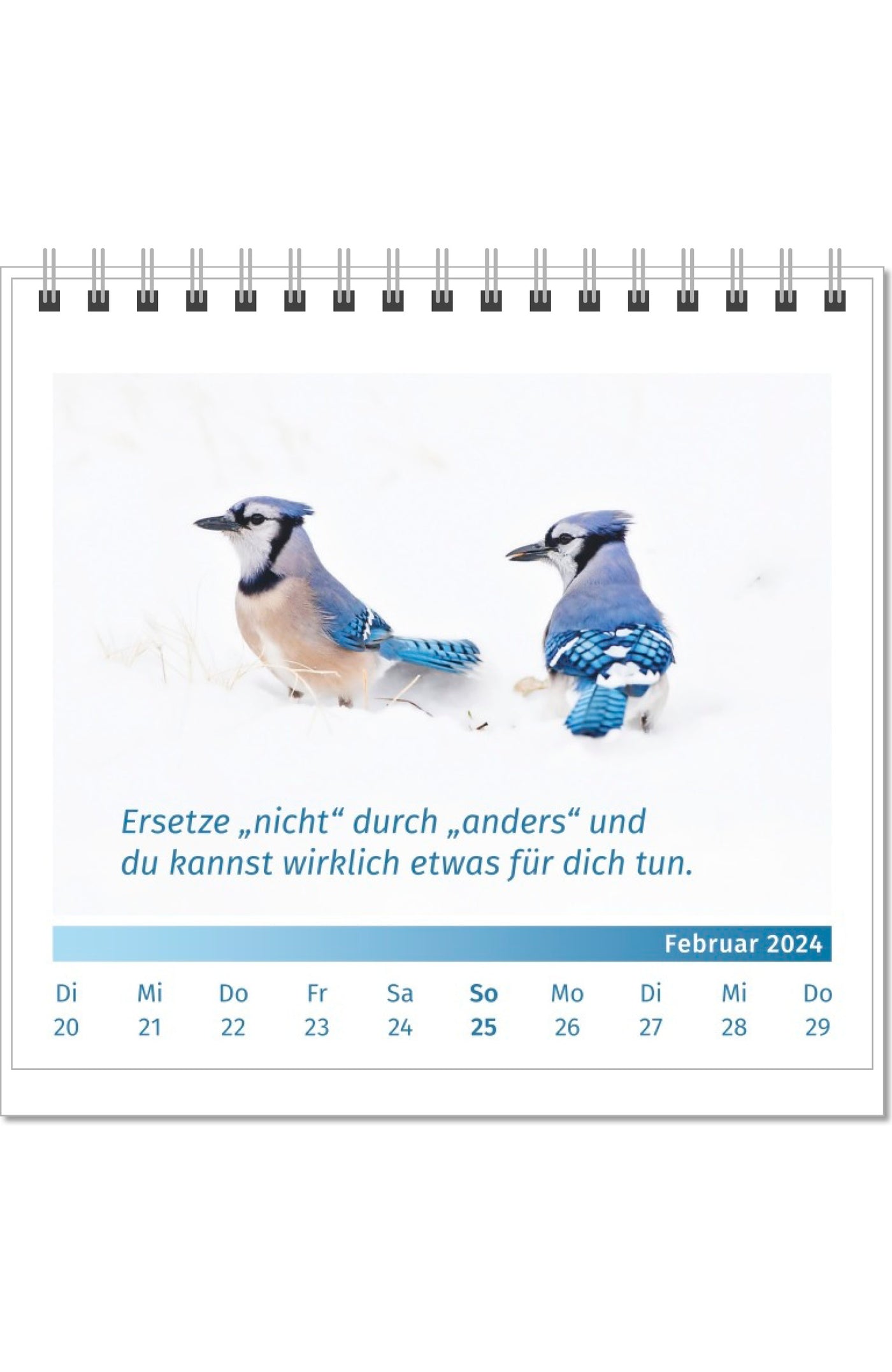 Lebensfreude-Tischkalender 2024 Aufstellkalender PAL Verlag Doris Wolf Rolf Merkle Innenseite Februar