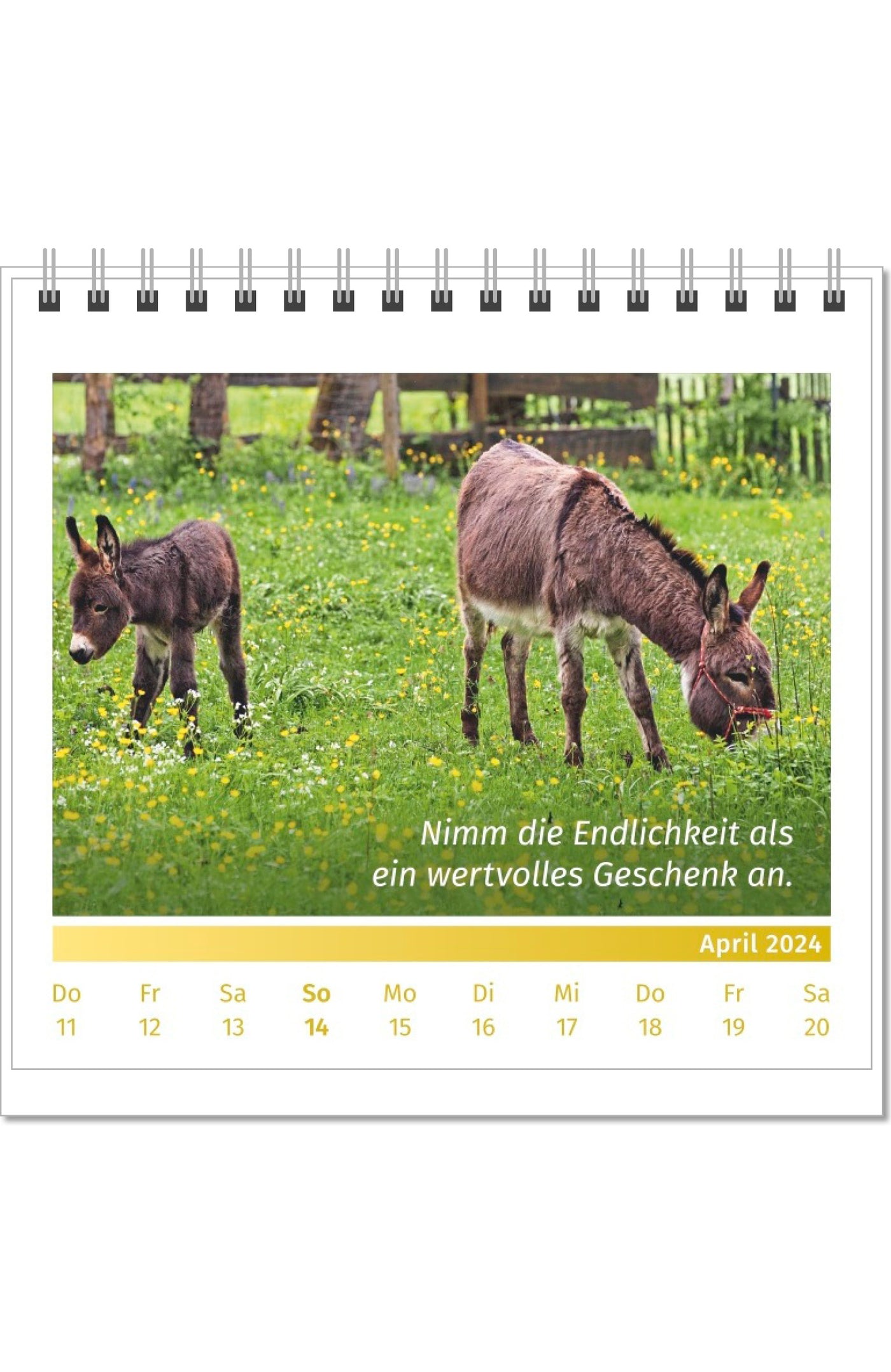 Lebensfreude-Tischkalender 2024 Aufstellkalender PAL Verlag Doris Wolf Rolf Merkle Innenseite April