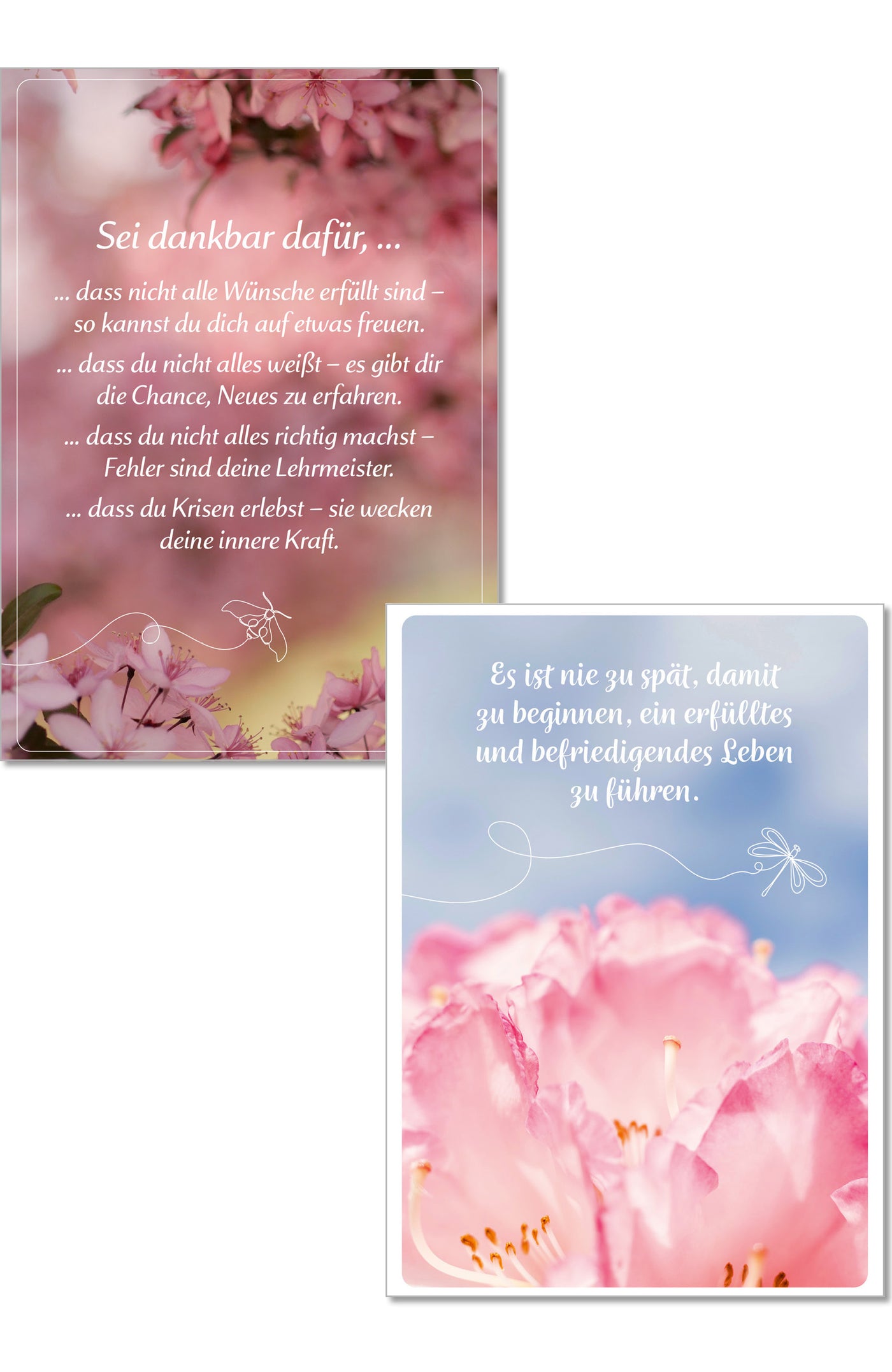 Lebensfreude Postkarten Postkartenbuch Spruch Zitat Denkanstöße Doris Wolf Rolf Merkle Maja Günther verträumt verspielt Geschenk Dekoration Blumen Floral rosa luftig blass pastel 