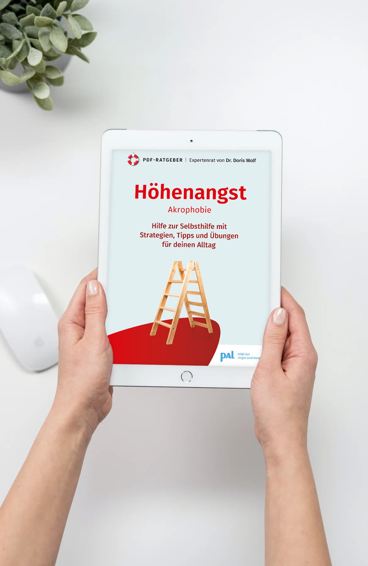 Ich habe Angst vor Höhen, Höhenangst, Hilfe