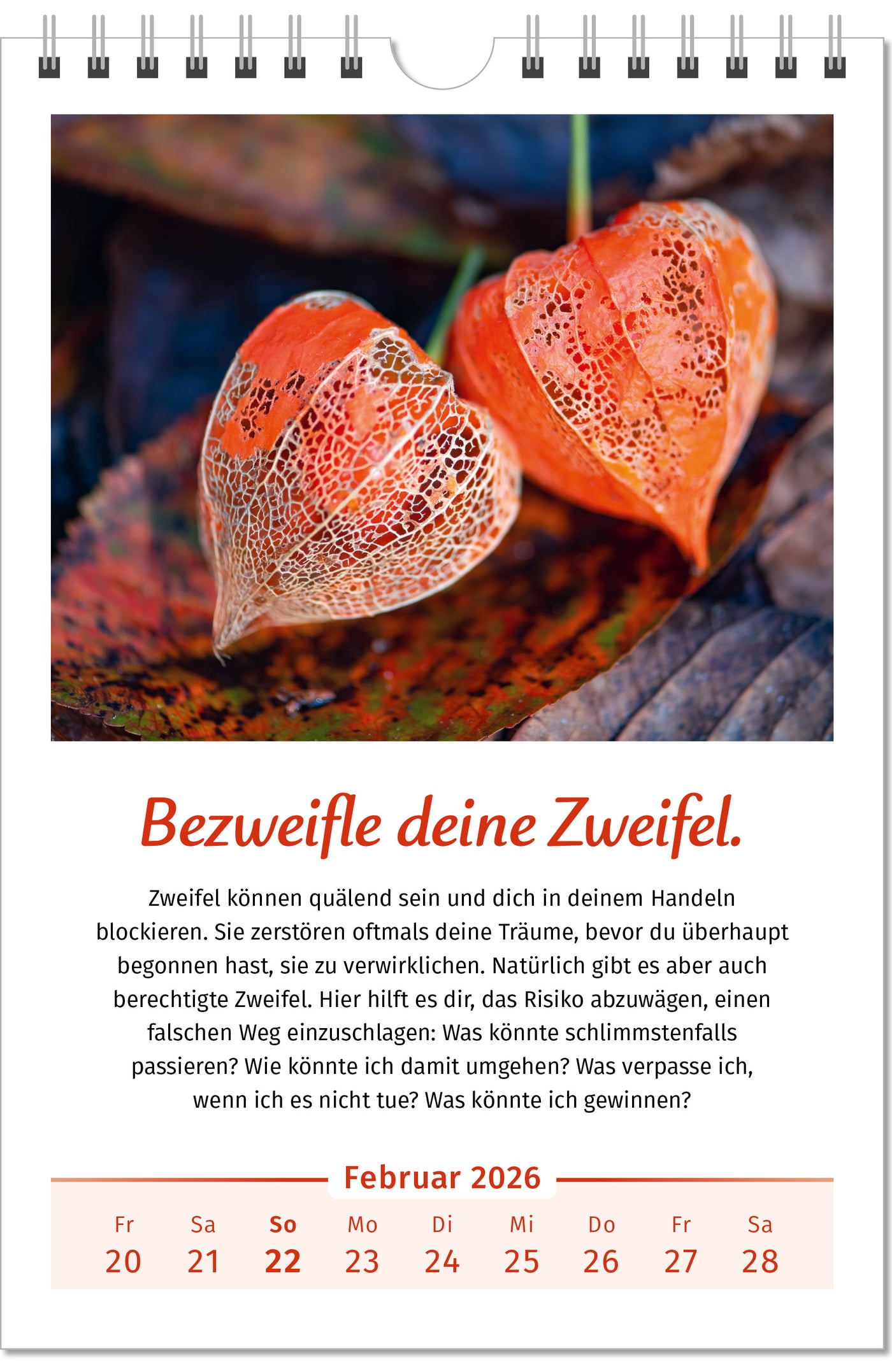 Der Lebensfreude-Kalender 2026 im Großformat