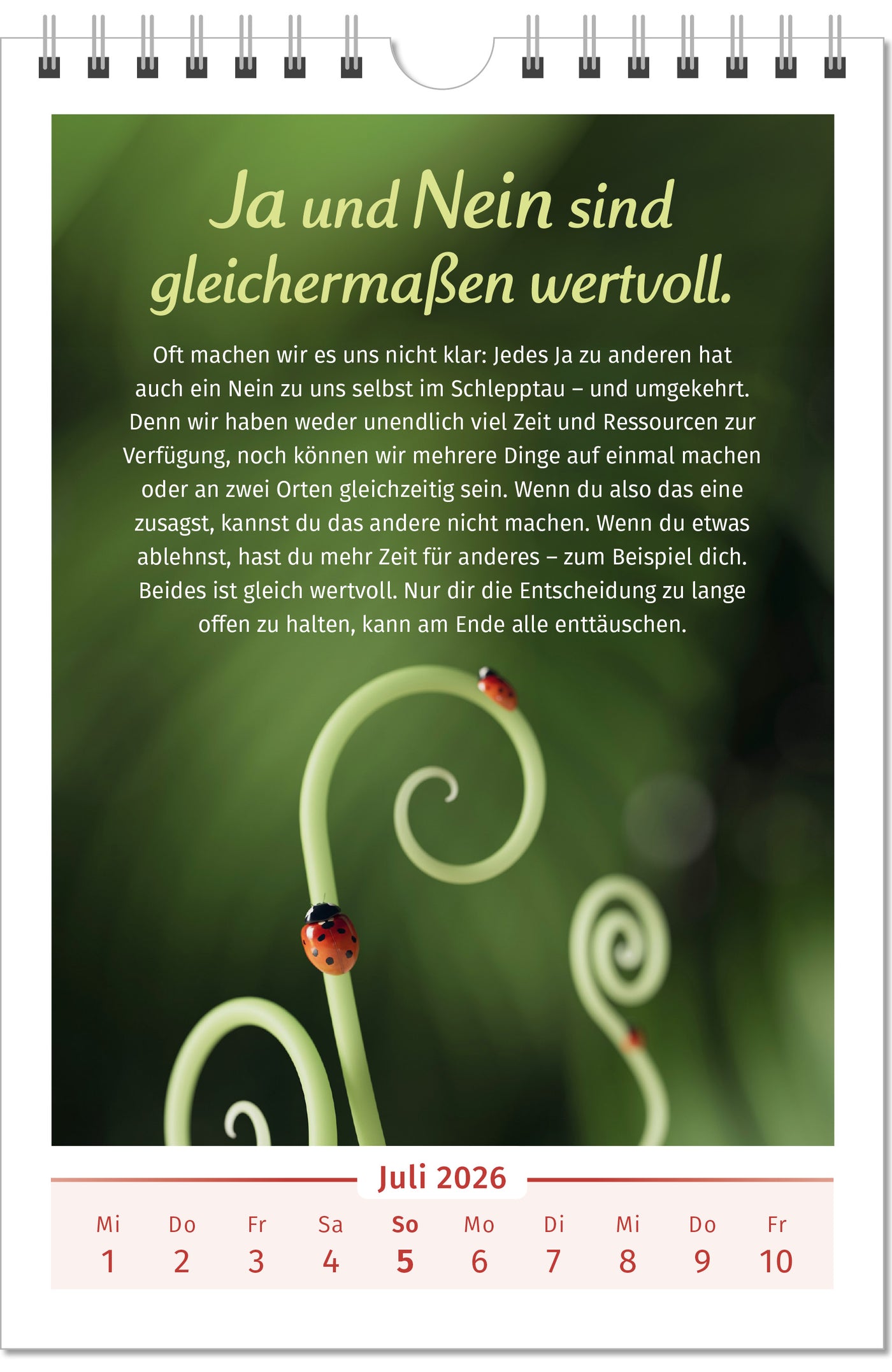 Pal Lebensfreude Kalender Großformat Inspiration neue Ausgabe neue und spannende Denkanstöße Ideen Zitate Sprüche Kalender mit Sinn