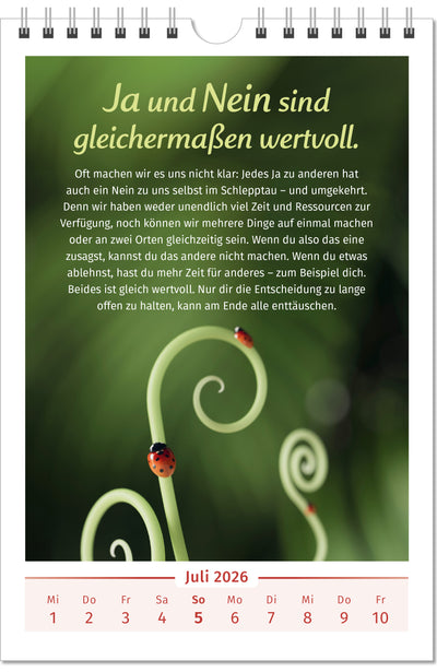 Pal Lebensfreude Kalender Großformat Inspiration neue Ausgabe neue und spannende Denkanstöße Ideen Zitate Sprüche Kalender mit Sinn