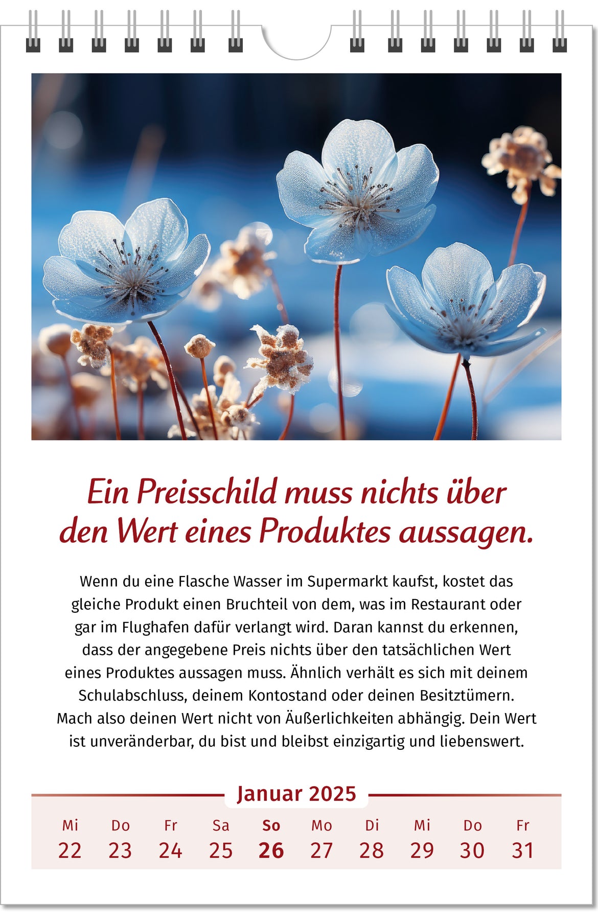 Der Lebensfreude-Kalender 2025 – PAL Onlineshop