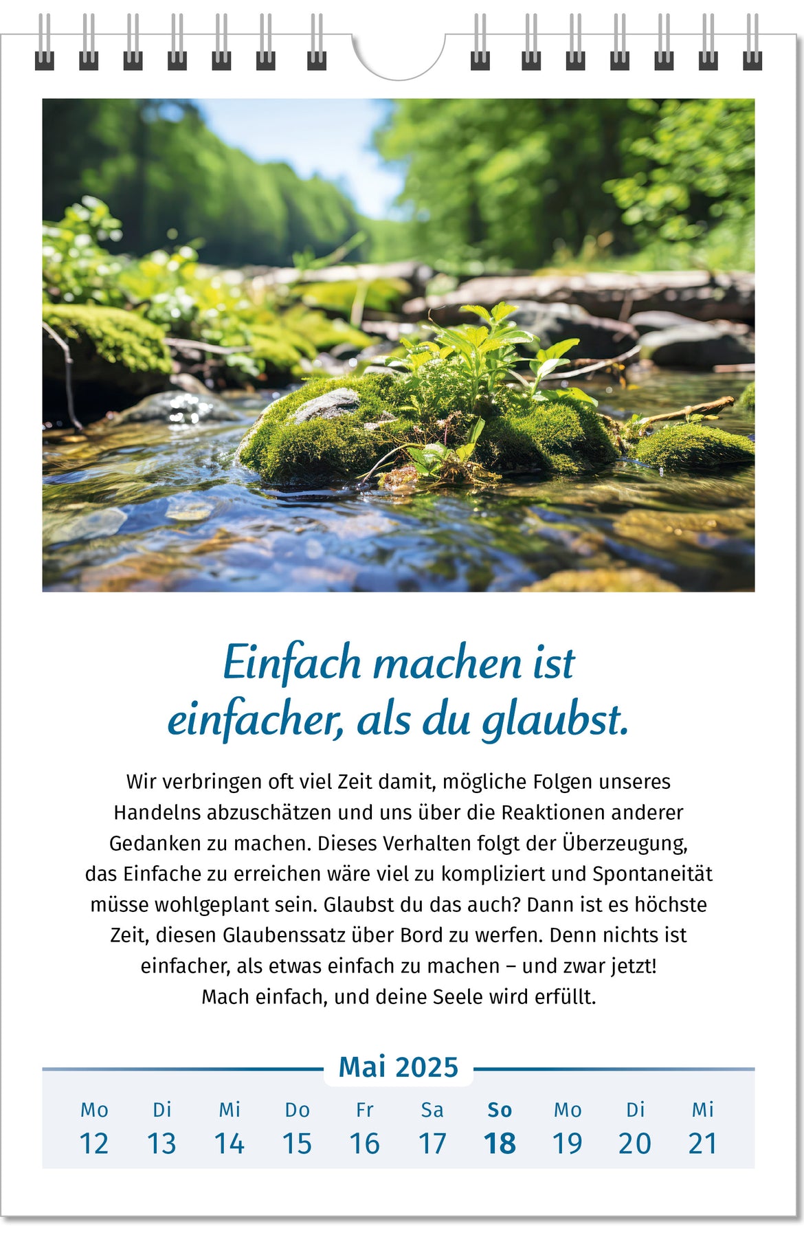 Der Lebensfreude-Kalender 2025 – PAL Onlineshop