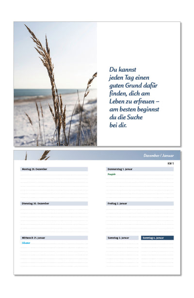 PAL Taschenkalender für die Handtasche Kalendarium Tagebuch Inspiration positiv Freude Glück Wochenansicht Glücksbotschaft 