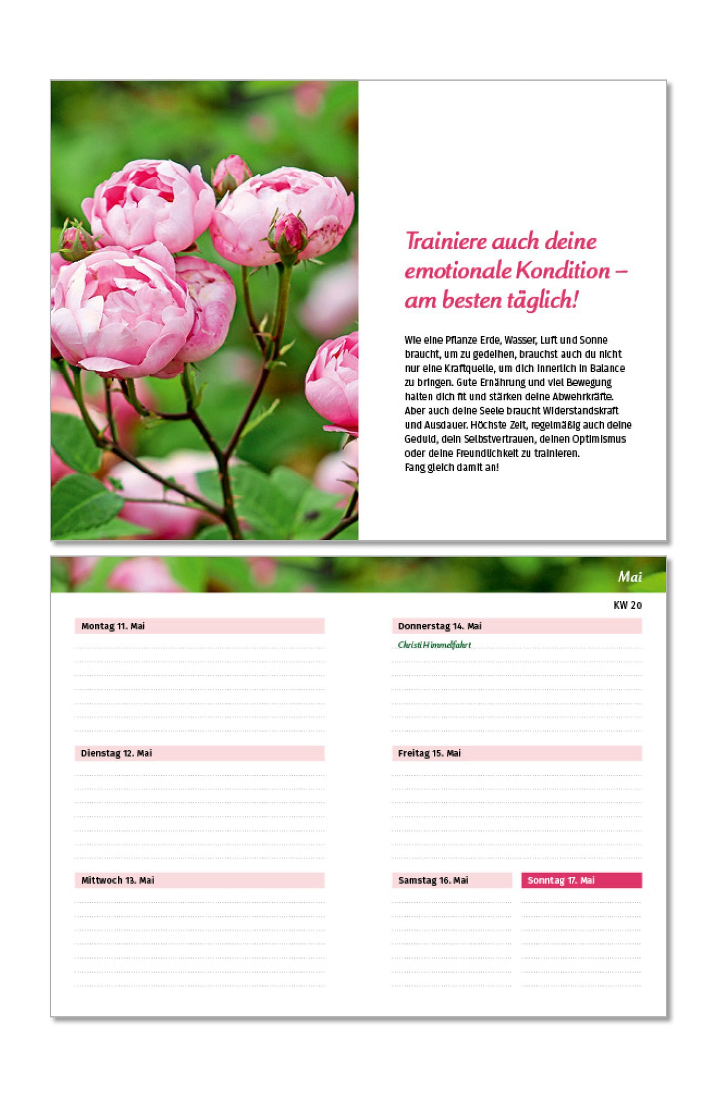 PAL Taschenkalender für die Handtasche Kalendarium Tagebuch Inspiration positiv Freude Glück Wochenansicht Glücksbotschaft 