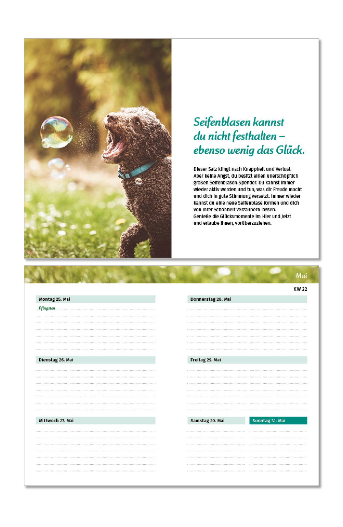 PAL Taschenkalender für die Handtasche Kalendarium Tagebuch Inspiration positiv Freude Glück Wochenansicht Glücksbotschaft 