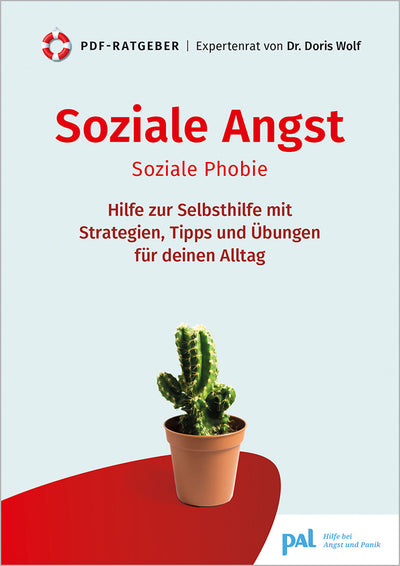 Soziale Angst, Soziale Phobie, Angst vor anderen Menschen, Angst vor Menschenmassen