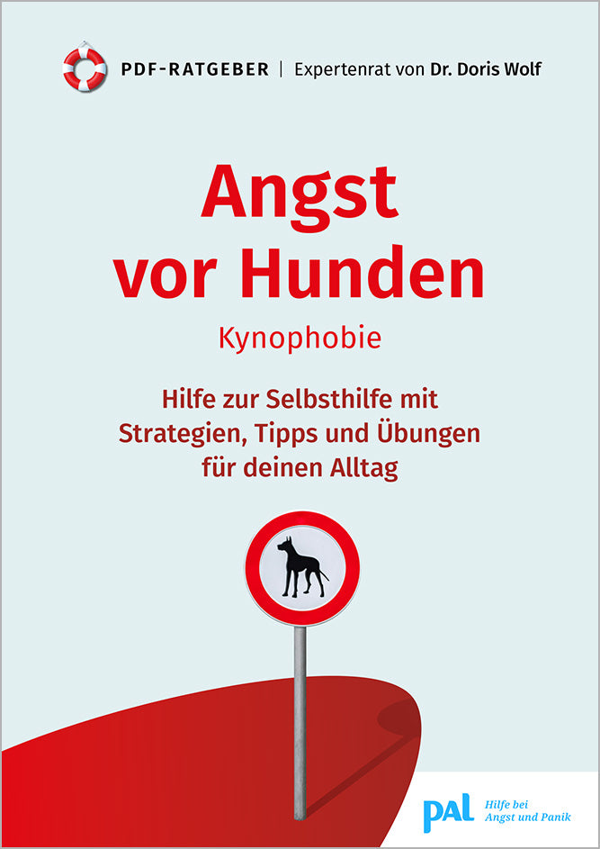 Ängste verstehen und überwinden