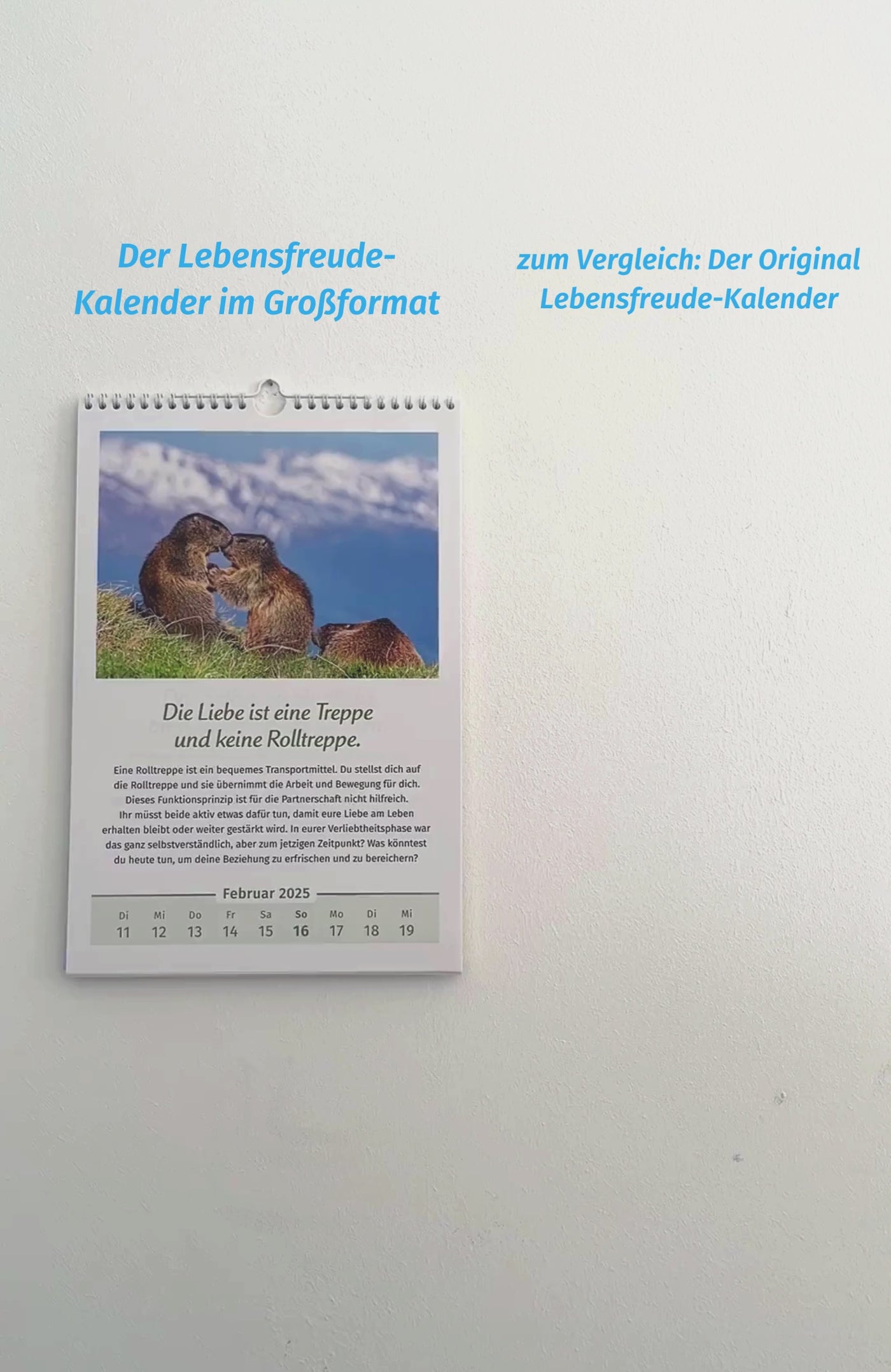 Der Lebensfreude Kalender Großormat Video Größenvergleich mit Lebensfreude Kalender Original