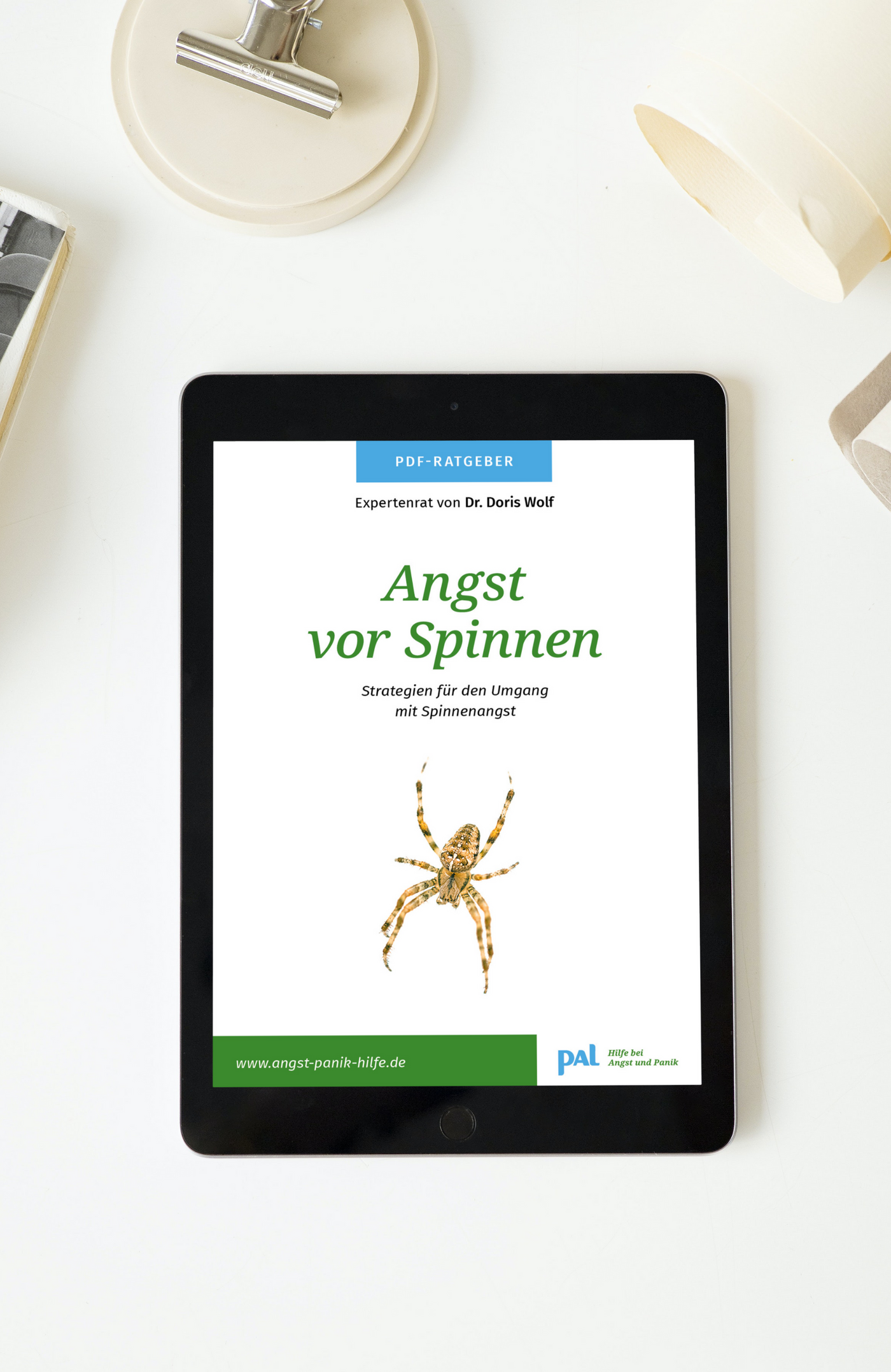 Angst PDF digital Ratgeber Selbsthilfe Angst vor Spinnen Doris Wolf