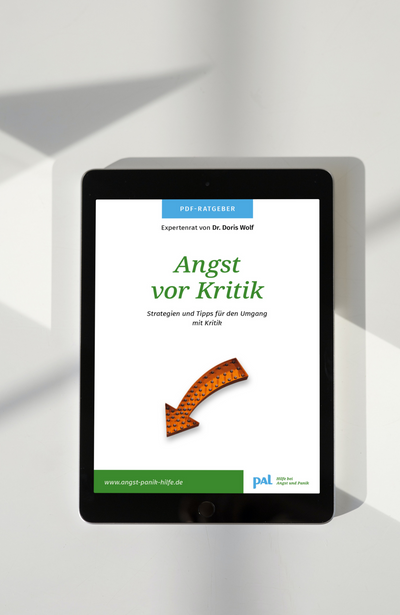 PDF Ratgeber digital Selbsthilfe Doris Wolf Angst vor Kritik